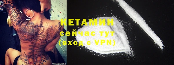 гидра Киреевск
