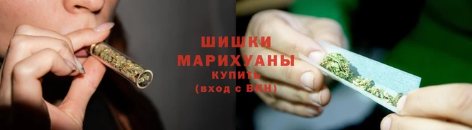 гидра Киреевск