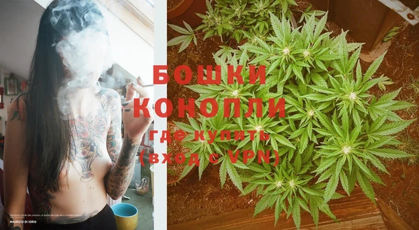 гидра Киреевск